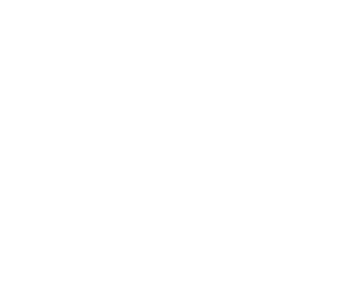 BalticAnalytica mark